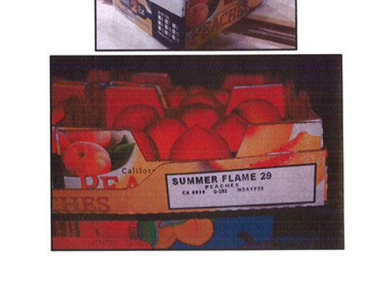 Lifetime Brands Recalls Fruit and Vegetable Choppers Due to Laceration  Hazard; Sold at Sam's Club