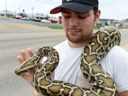 How do you walk a snake? Around your neck | thv11.com