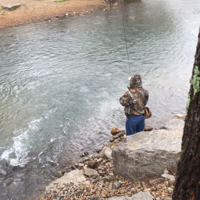 Made in Arkansas Jim Hinkle Spring River State Fish Hatchery