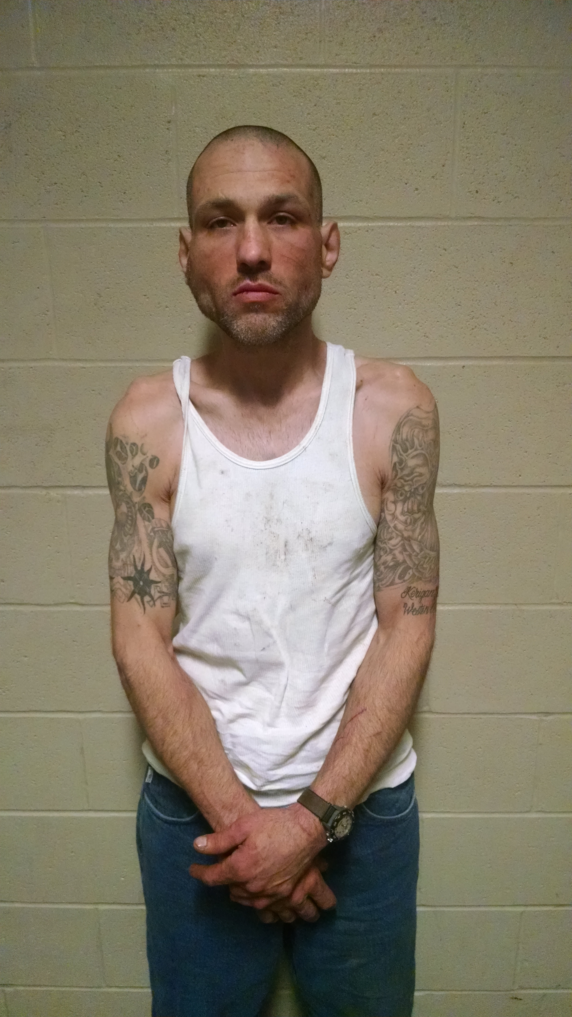 Ark. man arrested after fleeing from deputies thv11