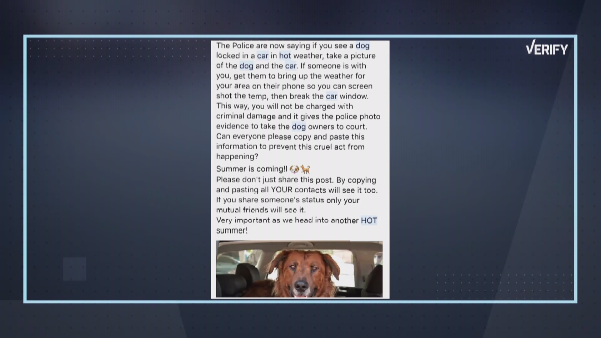 Can You Be Charged For Leaving A Dog In The Car