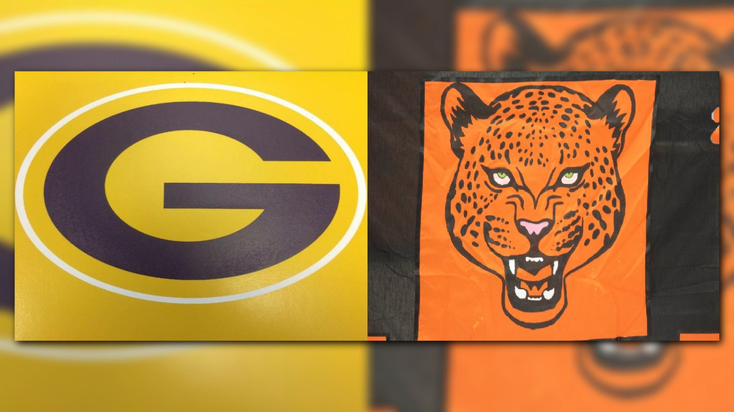 Gurdon, McCrory School Districts cancel classes due to flu